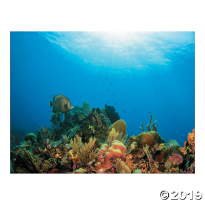 Realistic Under the Sea Sticker Scenes (Makes 12)