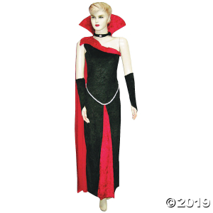 Women's Blood Raven Costume - Small/Medium (1 Piece(s))