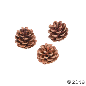 Natural Pinecones (Per Dozen)