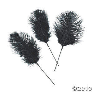 Black Ostrich Feathers (24 Piece(s))