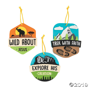 Wild Encounters VBS Ornament Craft Kit (Makes 12)