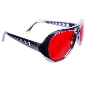 The King Sunglasses (Per 12 pack)