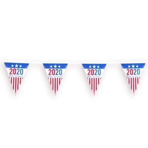 2020 Election Pennant Banner