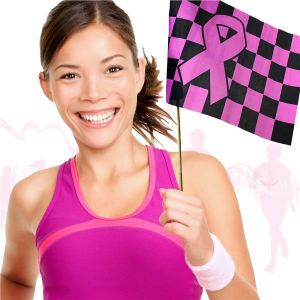 Pink Ribbon Checkered 12" x 18" Flags