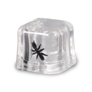 Bugs In A Plastic Ice Cube