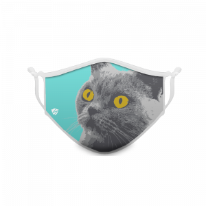 Wondering Cat Face
