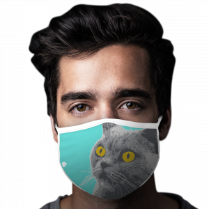 Wondering Cat Face
