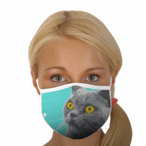 Wondering Cat Face