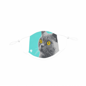 Wondering Cat Face