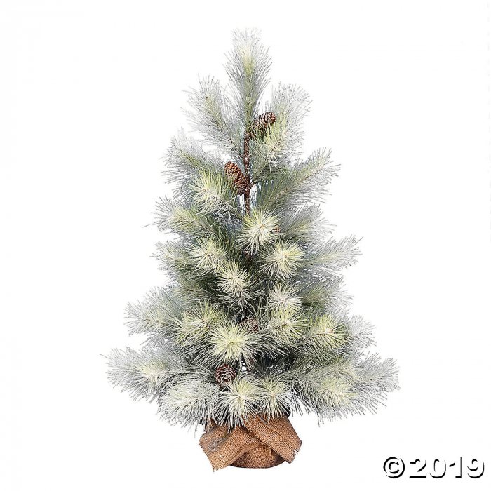 Vickerman 36" Norfolk Frosted Pine Tree (1 Piece(s))