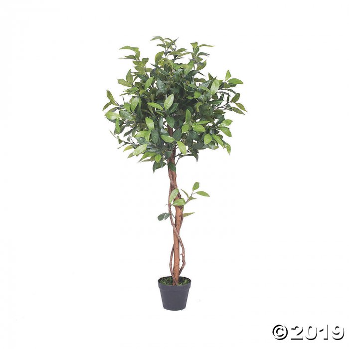 Vickerman 50" Artificial Camellia Tree (1 Piece(s))