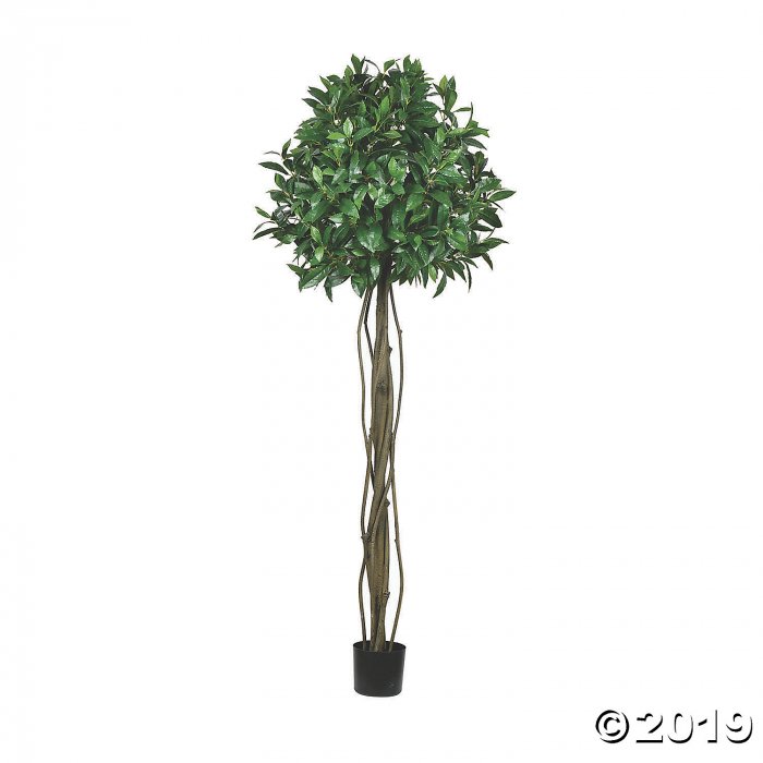 Vickerman 6' Potted Bay Leaf Tree (1 Piece(s))