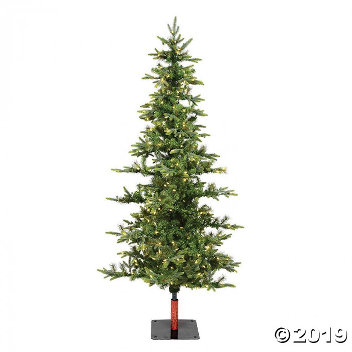 Vickerman 7' Shawnee Fir Christmas Tree with Warm White LED Lights (1 Piece(s))