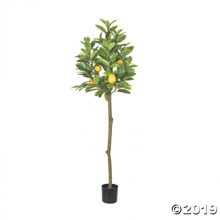 Vickerman 55" Potted Lemon Tree (1 Piece(s))