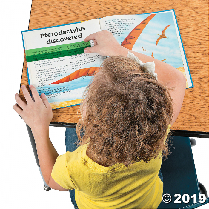 Highlight Reading Strips (24 Piece(s))