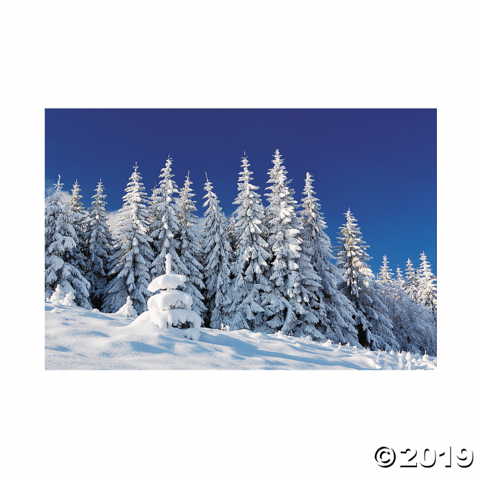 Winter Scene Backdrop (1 Set(s))