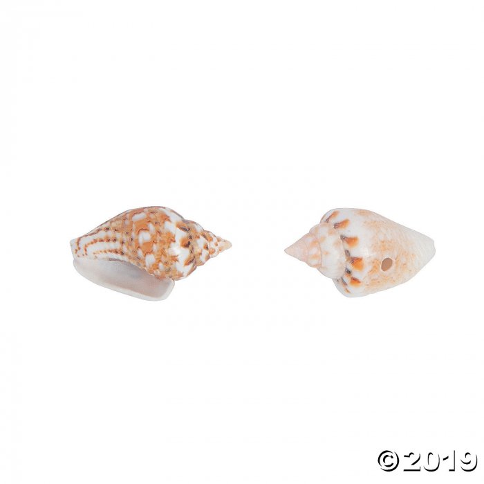 Mini Shell Beads (114 Piece(s))