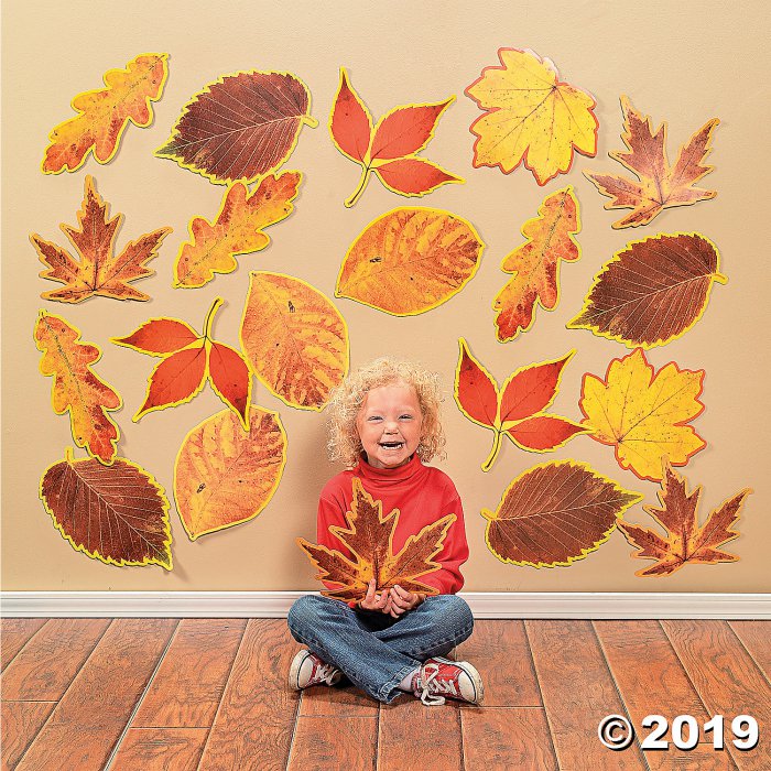 Jumbo Fall Leaves Cutouts (48 Piece(s))