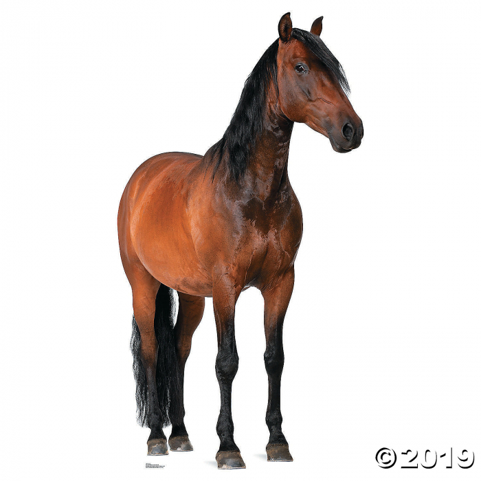 Horse Stand-Up (1 Piece(s))