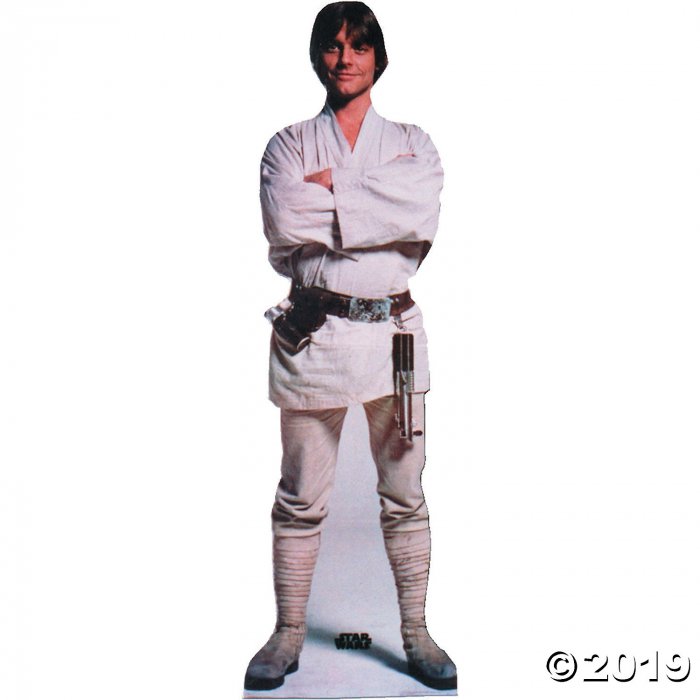 Luke Skywalker Cardboard Stand-Up (1 Piece(s))