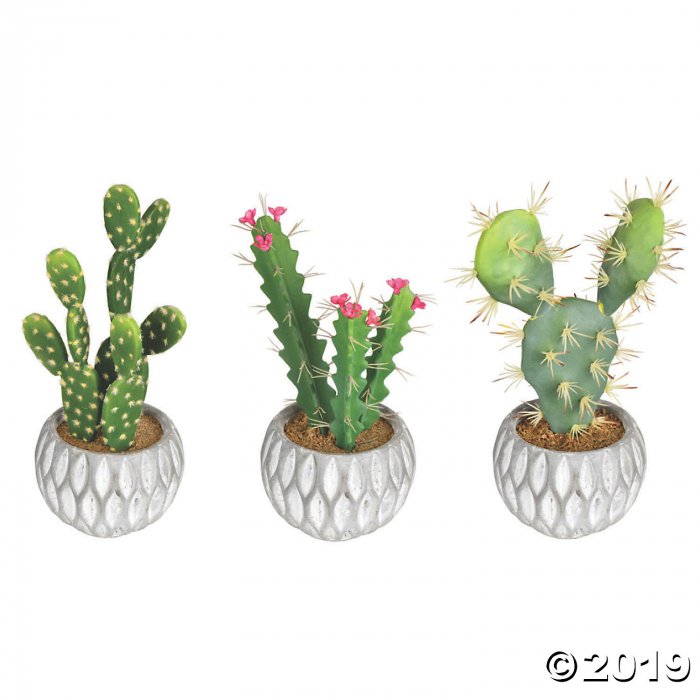 Vickerman 10" Green Cactus in Cement Pot - Qty 3, assorted (1 Set(s))