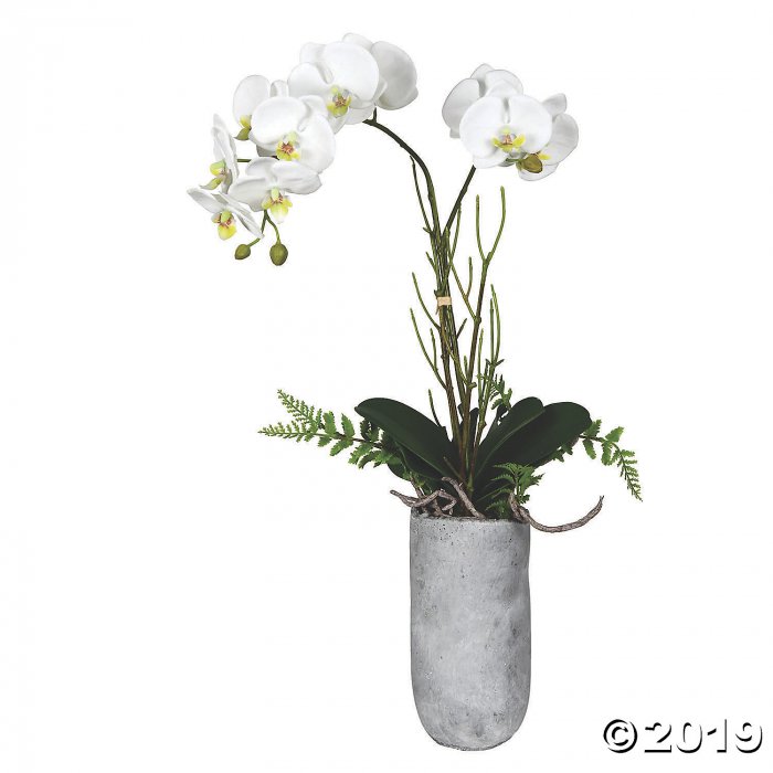 Vickerman 17" Potted White Butterfly Orchid (1 Piece(s))