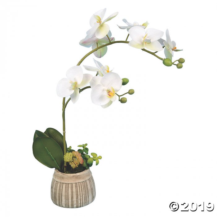 Vickerman 18" Artificial White Orchid in Ceramic Pot (1 Piece(s))