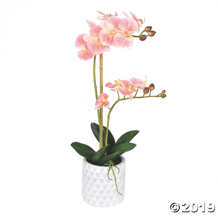 Vickerman 21" Potted Real Touch Pink Phalaenopsis Spray (1 Piece(s))