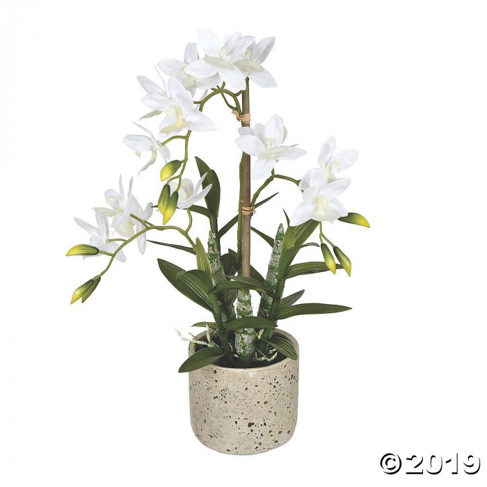 Vickerman 19" Deluxe Potted Cycnoches (1 Piece(s))
