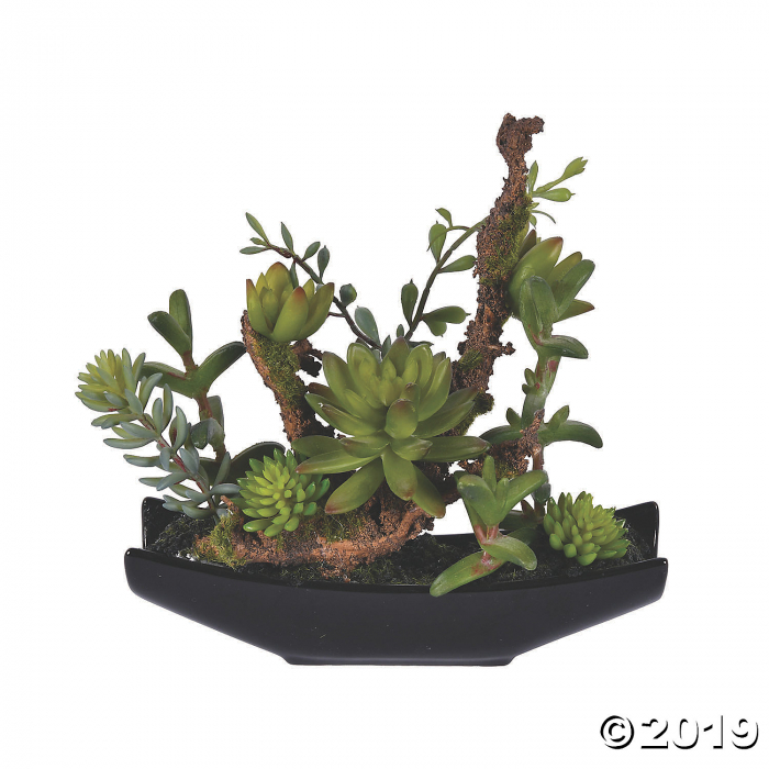 Vickerman 8" Green Mixed Succulent in Ceramic Pot (1 Piece(s)) Vickerman 8" Green Mixed Succulent in Ceramic Pot (1 Piece(s))
