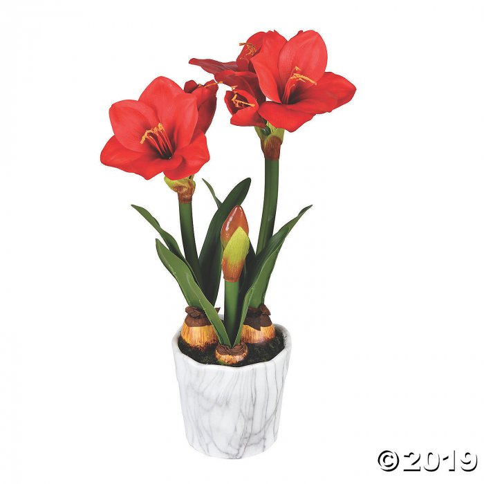 Vickerman 22" Red Amaryllis Floral Arrangement (1 Piece(s))