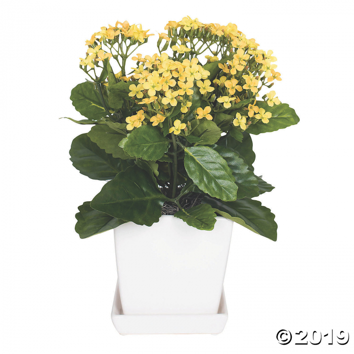 Vickerman 13" Artificial Yellow Kalanchoe And Green Leaves (1 Piece(s))