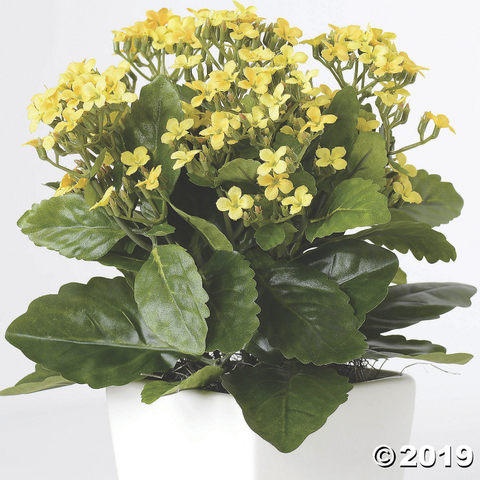 Vickerman 13" Artificial Yellow Kalanchoe And Green Leaves (1 Piece(s))