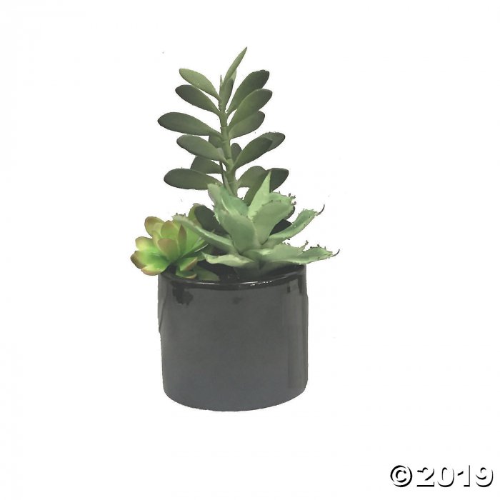 Vickerman 9" Artificial Green Succulents in Cement Pot (1 Piece(s))