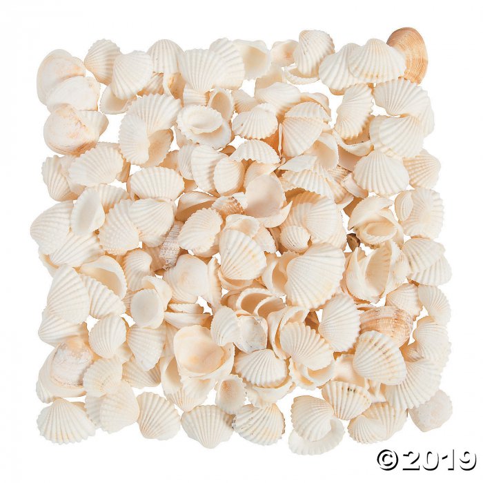 Natural Clamrose Sea Shells (1 lb(s))