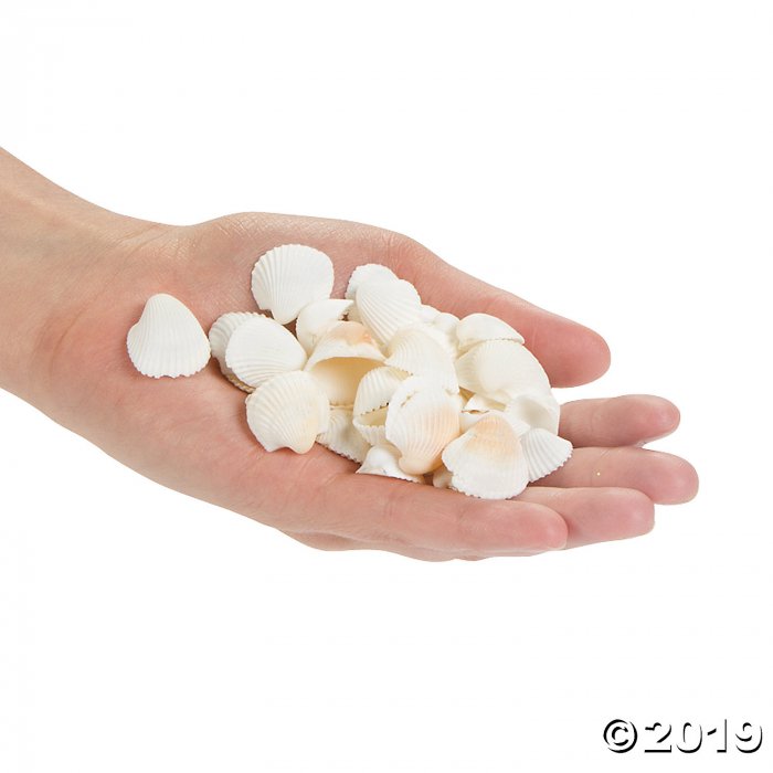 Natural Clamrose Sea Shells (1 lb(s))