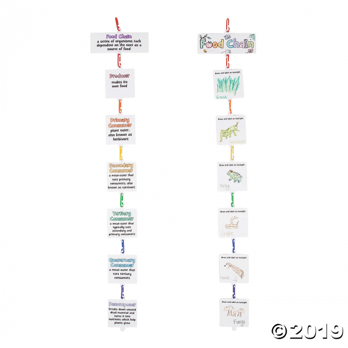 Food Chain Linking Craft Kit (Makes 12)