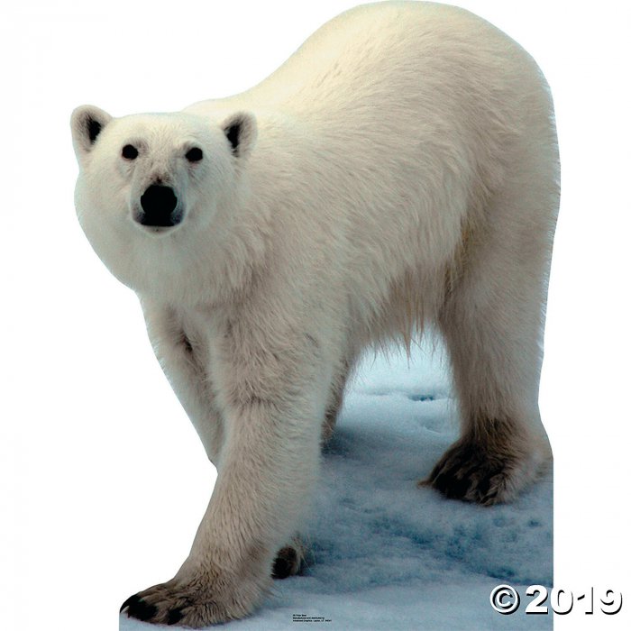 Polar Bear Cardboard Stand-Up (1 Piece(s))