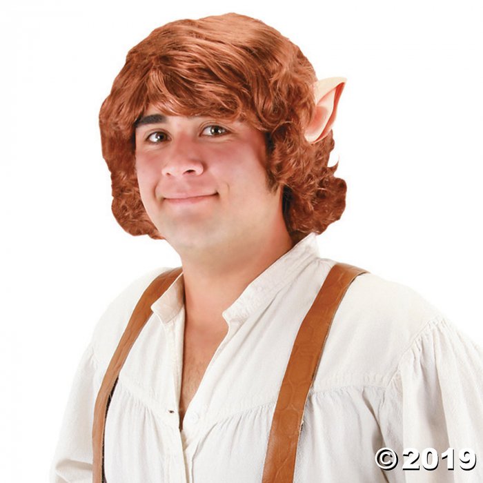 Adult's Bilbo Baggins Wig (1 Piece(s))