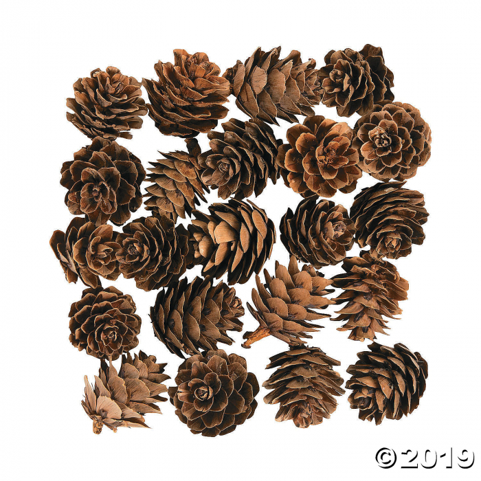 Mini Pinecones (24 Piece(s)) Mini Pinecones (24 Piece(s))