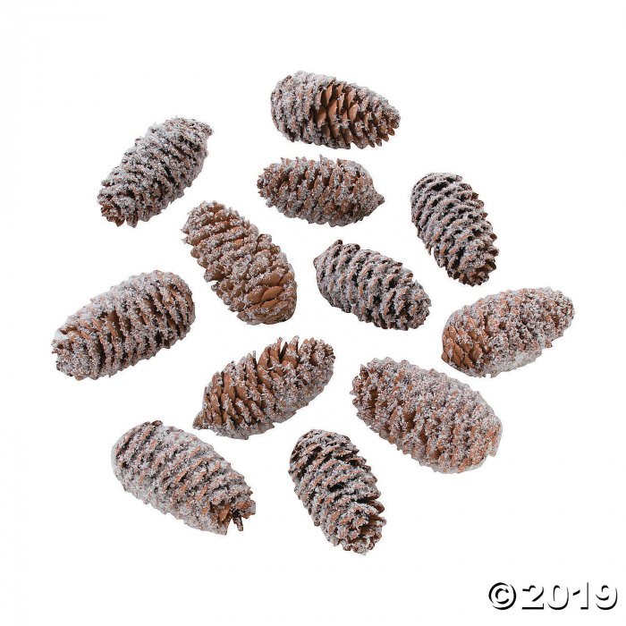 Frosted Pine Cone Assortment (Per Dozen)