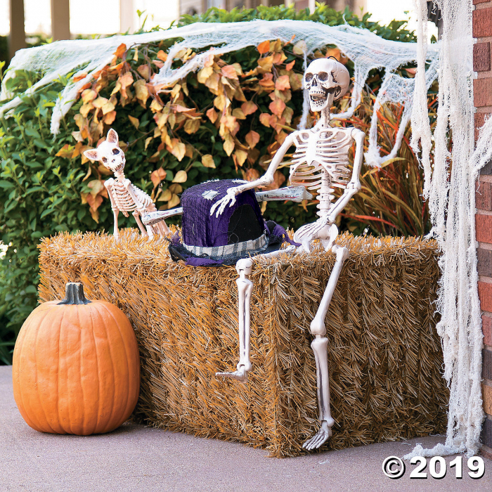 Posable Skeleton Halloween Decoration (1 Piece(s))