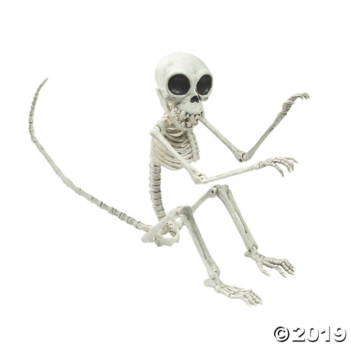 Monkey Skeleton Halloween Decoration (1 Piece(s))