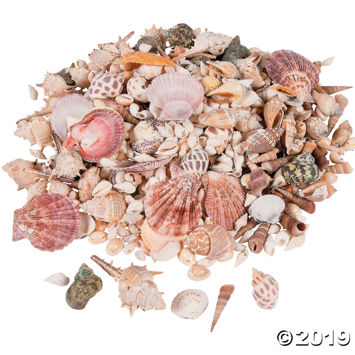 Sea Shell Assortment (150 Piece(s)) Sea Shell Assortment (150 Piece(s))