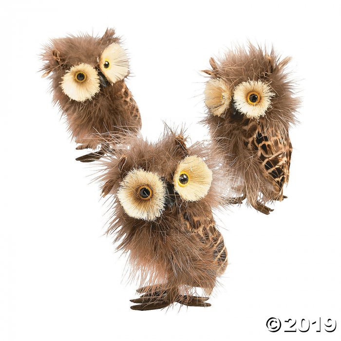 Feathered Owls (3 Piece(s))