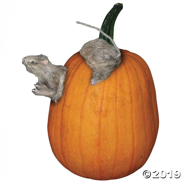 Rat Pumpkin Push-In Halloween Decoration (1 Piece(s)) Rat Pumpkin Push-In Halloween Decoration (1 Piece(s))
