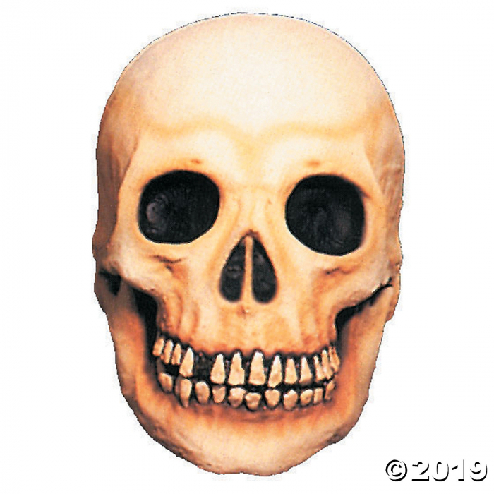 Skull Prop Halloween Decoration