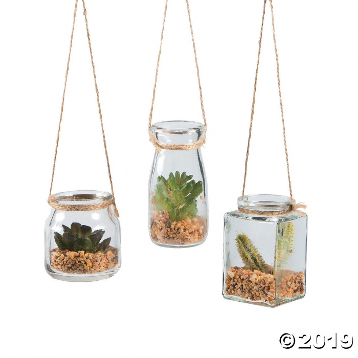 Hanging Jars with Succulents (1 Set(s))