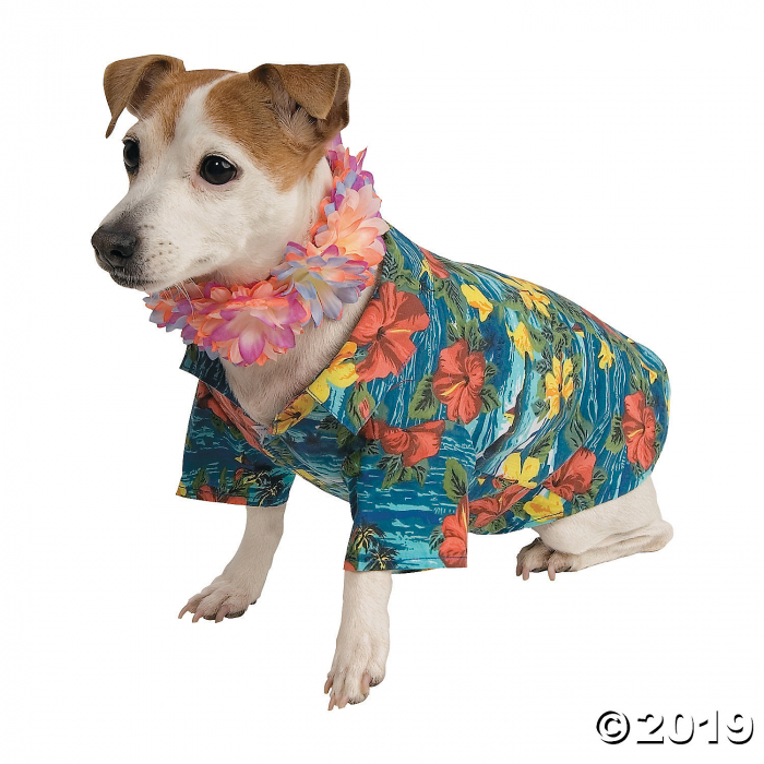 Luau Dog Costume - Medium (1 Set(s))
