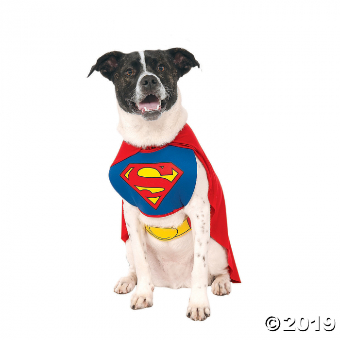Superman Dog Costume - Medium (1 Piece(s)) Superman Dog Costume - Medium (1 Piece(s))